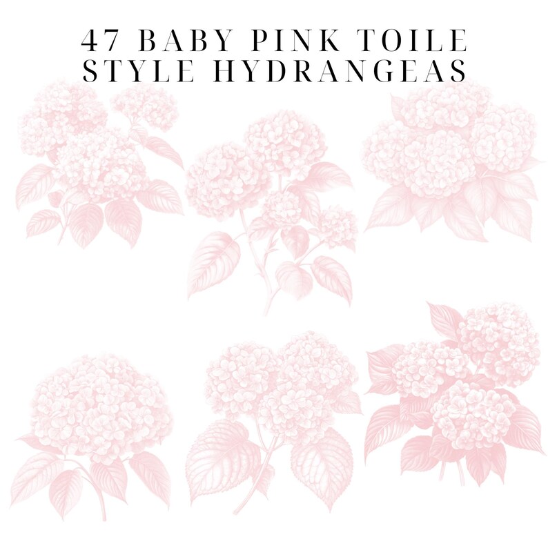 May include: A digital illustration of six pink hydrangeas in a toile style. The text "47 BABY PINK TOILE STYLE HYDRANGEAS" is at the top of the image.