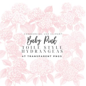 Roze hortensia aquarel clipart roze hortensia clipart roze toile clipart vintage Franse png chinoiserie toile de jouy clipart