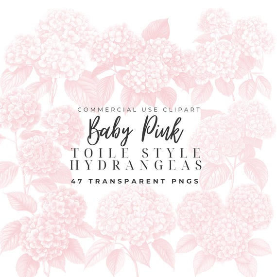 Pink Hydrangea Watercolor Clipart Pink Hydrangea Clipart Pink Toile Clipart  Vintage French Png Chinoiserie Toile De Jouy Clipart