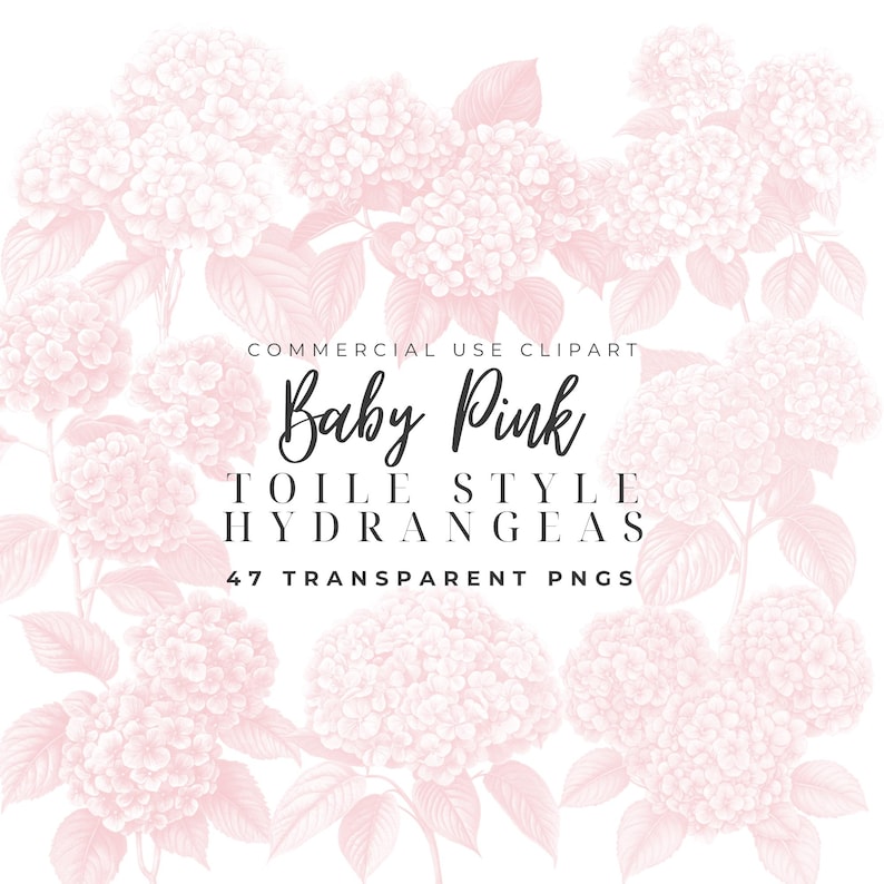 May include: A digital illustration of 47 pink hydrangea flowers in a toile style. The flowers are arranged in a border around the text "Baby Pink Toile Style Hydrangeas 47 Transparent PNGs".