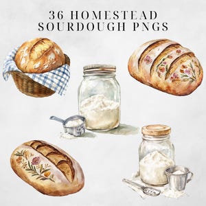 May include: A set of 36 watercolor illustrations of sourdough bread and flour in jars. The illustrations are in a rustic style with floral details.