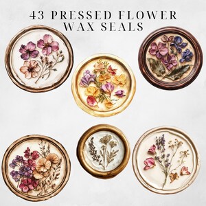 Wax Seal Clipart Pressed Flowers Clipart Wax Seal Png Wax Seal Stamp Wax Seal Clip Envelope Seal Wax Seal Digital Regency Victorian Ephemera image 5