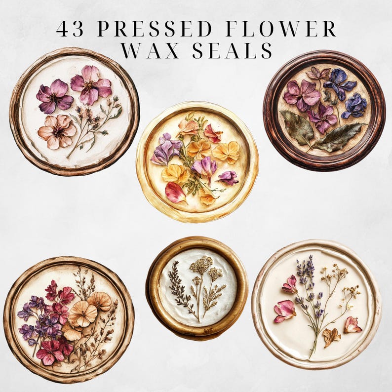 Wax Seal Clipart Pressed Flowers Clipart Wax Seal Png Wax Seal Stamp Wax Seal Clip Envelope Seal Wax Seal Digital Regency Victorian Ephemera image 5