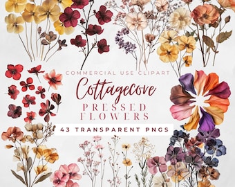 Imágenes prediseñadas de flores prensadas, imágenes prediseñadas de flores secas de estilo bohemio rosa, imágenes prediseñadas de flores silvestres, flores prensadas PNG, imágenes prediseñadas botánicas, imágenes prediseñadas de flores silvestres