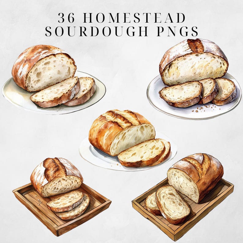 May include: A collection of 36 watercolor illustrations of sourdough bread, featuring various shapes and sizes of loaves, sliced and unsliced. The illustrations are on a white background.