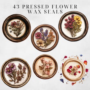 Wax Seal Clipart Pressed Flowers Clipart Wax Seal Png Wax Seal Stamp Wax Seal Clip Envelope Seal Wax Seal Digital Regency Victorian Ephemera image 3