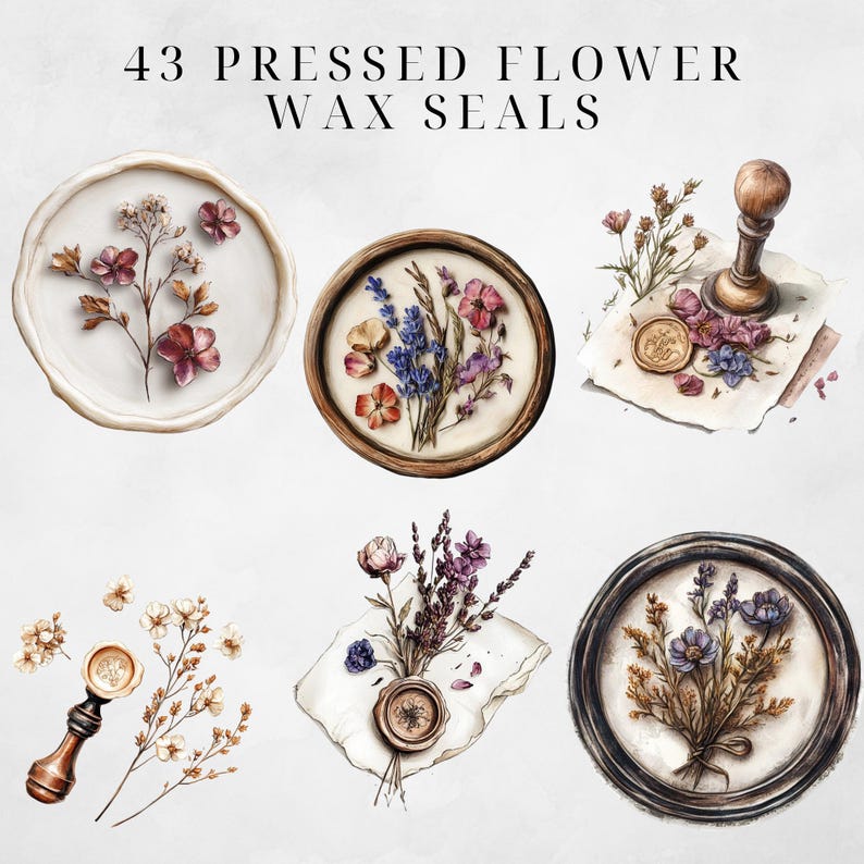 Wax Seal Clipart Pressed Flowers Clipart Wax Seal Png Wax Seal Stamp Wax Seal Clip Envelope Seal Wax Seal Digital Regency Victorian Ephemera image 2