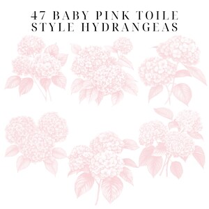 May include: A set of 47 baby pink hydrangea illustrations in a toile style. The hydrangeas are drawn in a delicate, vintage style.