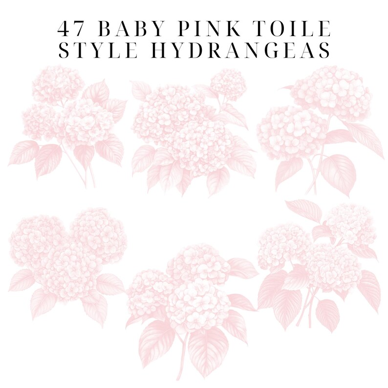 May include: A set of 47 baby pink hydrangea illustrations in a toile style. The hydrangeas are drawn in a delicate, vintage style.