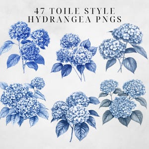 May include: Six illustrations of blue hydrangea flowers in a toile style. The flowers are drawn in a detailed, realistic style with a white background.