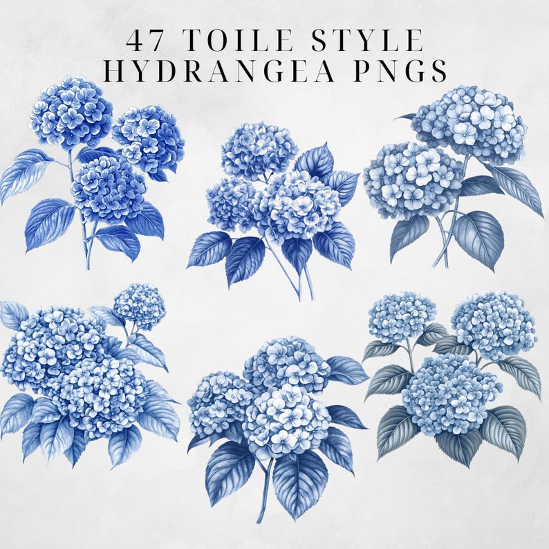 May include: Six illustrations of blue hydrangea flowers in a toile style. The flowers are drawn in a detailed, realistic style with a white background.