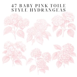 May include: 47 Baby Pink Toile Style Hydrangeas. A digital illustration of seven pink hydrangeas with leaves, in a toile style.