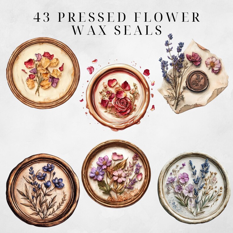 Wax Seal Clipart Pressed Flowers Clipart Wax Seal Png Wax Seal Stamp Wax Seal Clip Envelope Seal Wax Seal Digital Regency Victorian Ephemera image 6