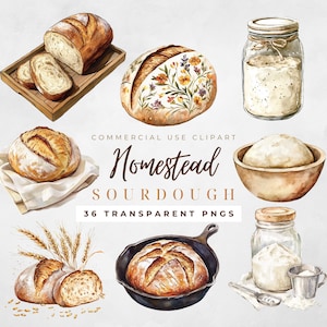 Clipart Sourdough Chleb na Zakwasie Clipart Sourdough Starter Food Clipart Sourdough Bread Png Akwarela Sourdough Bread Baker Clip Art