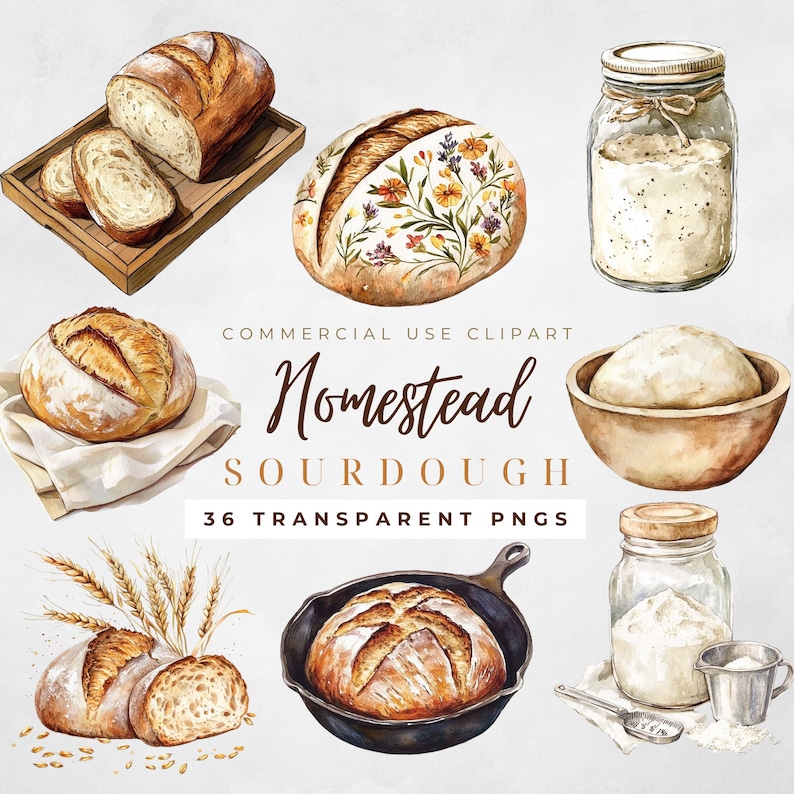 May include: Watercolor illustrations of sourdough bread, including a loaf, a bowl of dough, a loaf in a cast iron pan, a loaf with floral designs, and a jar of flour. The text "Homestead Sourdough" is written in brown lettering with the words "36 Transparent PNGs" below it.