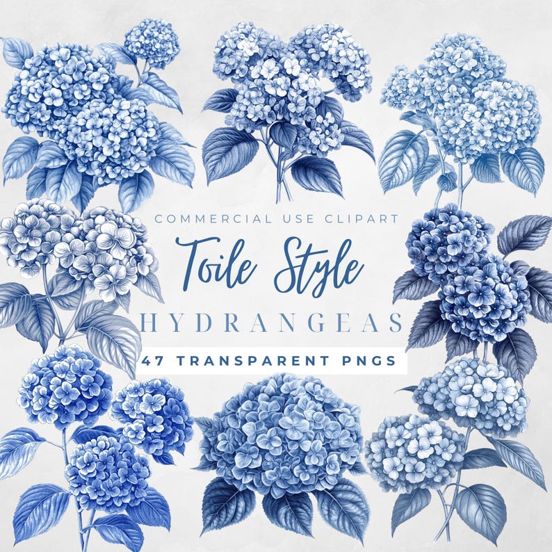 May include: A set of 47 blue hydrangea flower illustrations in a toile style. The flowers are drawn in a vintage style with intricate details. The illustrations are perfect for creating digital or printed designs.