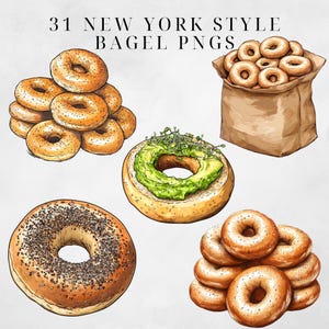 May include: A collection of 31 New York style bagels, illustrated in a hand-drawn style. The bagels are shown in various arrangements, including a pile of plain bagels, a pile of everything bagels, a bagel with avocado spread, and a paper bag filled with bagels.