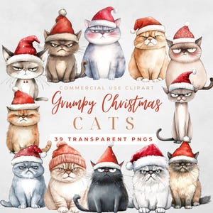 Mürrische Weihnachtskatze Clipart Lustige Katze Clipart Urlaub Katze Png Lustige schwarze Katze Png Weihnachtsmütze Skurrile Katze Clipart