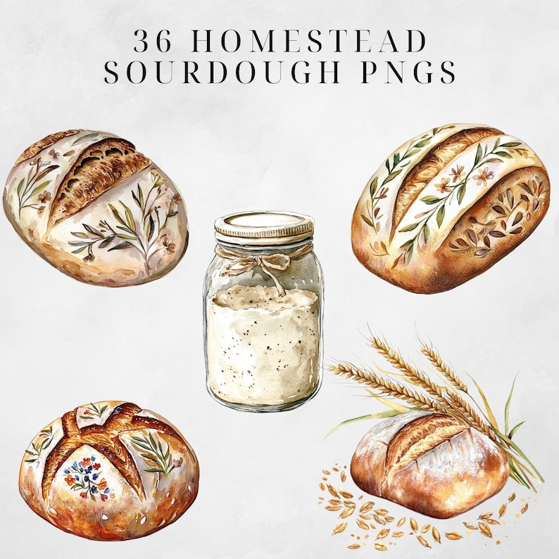 May include: A collection of 36 watercolor illustrations of sourdough bread, flour, and wheat. The bread is decorated with floral designs and the flour is in a glass jar with a brown twine bow. The wheat is in a bunch with loose grains scattered around.