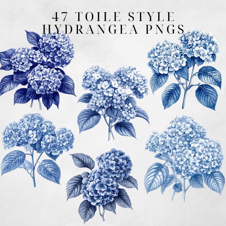 May include: Six blue hydrangea flower illustrations in a toile style. The flowers are drawn in a vintage style with detailed leaves and stems.