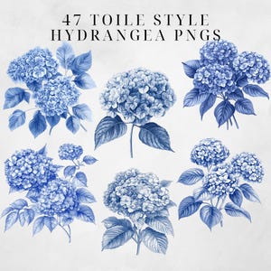 May include: Six blue hydrangea flowers in a toile style design. The flowers are drawn in a vintage style with detailed leaves and stems.
