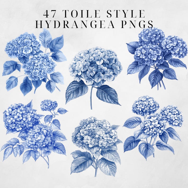 May include: Six blue hydrangea flowers in a toile style design. The flowers are drawn in a vintage style with detailed leaves and stems.