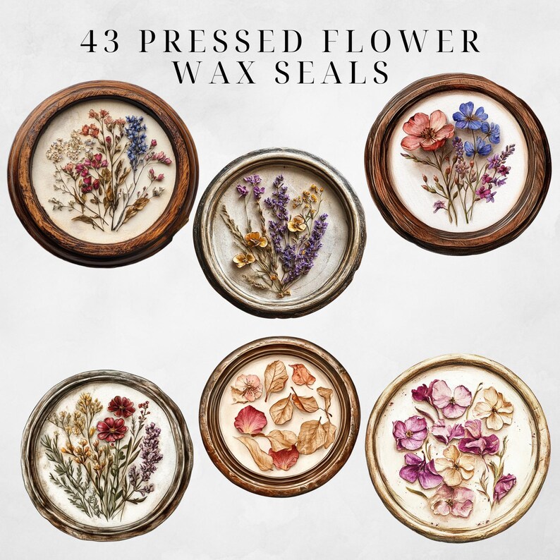 Wax Seal Clipart Pressed Flowers Clipart Wax Seal Png Wax Seal Stamp Wax Seal Clip Envelope Seal Wax Seal Digital Regency Victorian Ephemera image 8