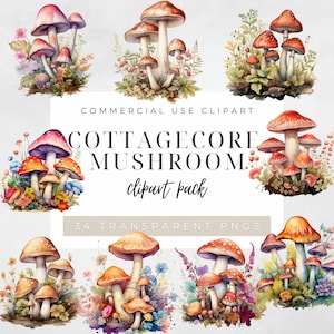 Clipart champignon Watetcolor clipart champignon aquarelle forêt de fées aquarelle Clipart forêt aquarelle champignon vénéneux aquarelle
