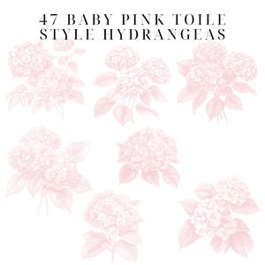 May include: 47 Baby Pink Toile Style Hydrangeas. A digital illustration of seven pink hydrangeas with leaves, drawn in a toile style.