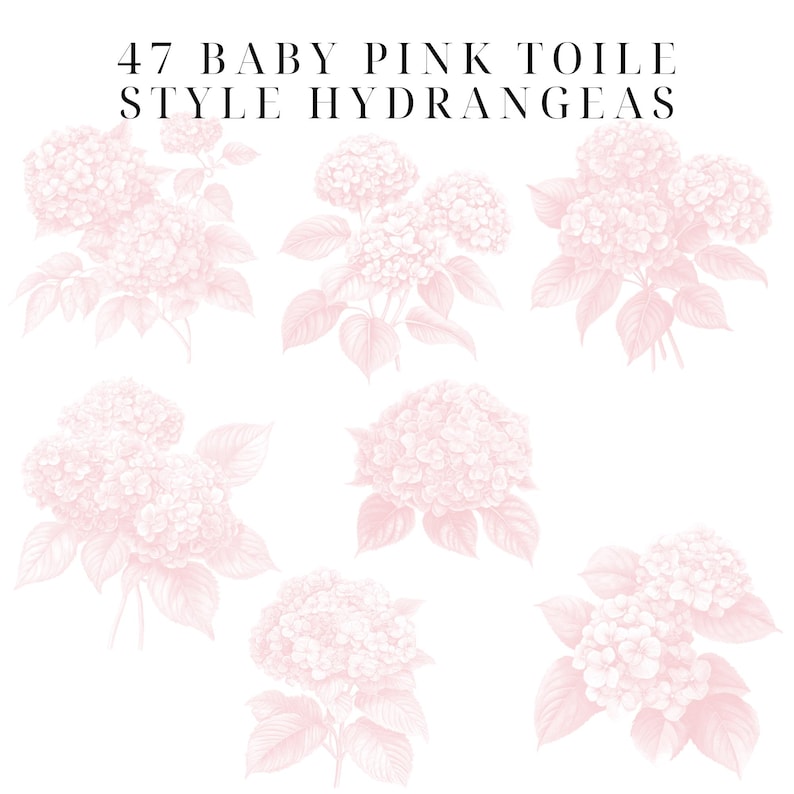May include: 47 Baby Pink Toile Style Hydrangeas. A digital illustration of seven pink hydrangeas with leaves, drawn in a toile style.