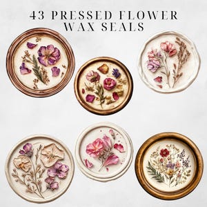Wax Seal Clipart Pressed Flowers Clipart Wax Seal Png Wax Seal Stamp Wax Seal Clip Envelope Seal Wax Seal Digital Regency Victorian Ephemera image 4
