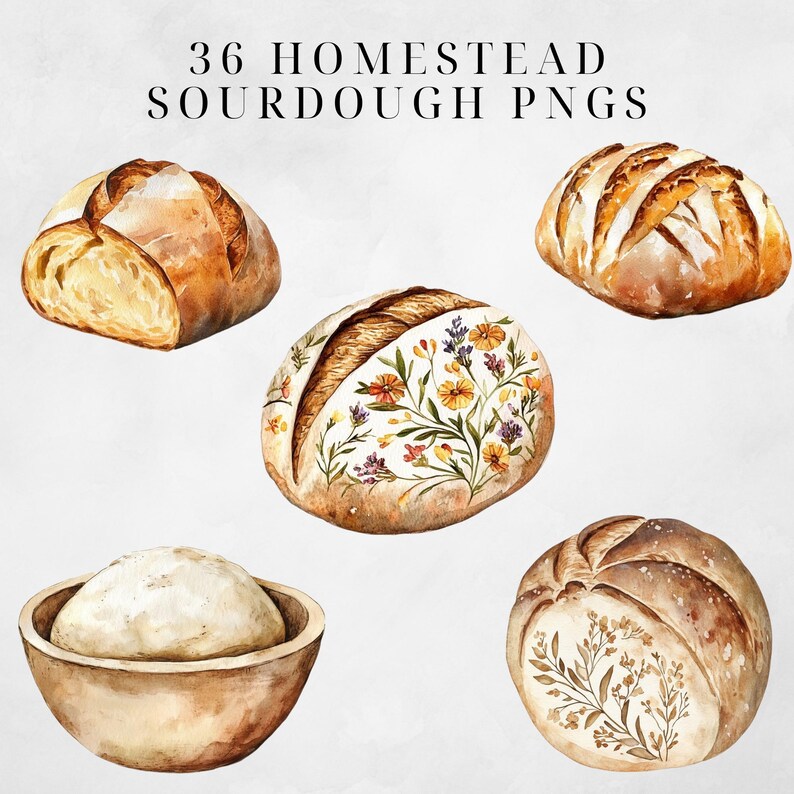 May include: A set of 36 watercolor illustrations of sourdough bread. The illustrations feature different shapes and sizes of bread, including loaves with floral designs and a bowl of dough.