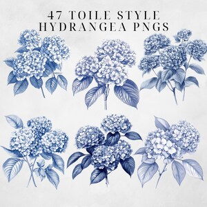May include: A set of six blue and white hydrangea illustrations in a toile style. The hydrangeas are drawn in a vintage style with delicate details.
