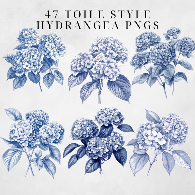May include: A set of six blue and white hydrangea illustrations in a toile style. The hydrangeas are drawn in a vintage style with delicate details.