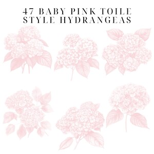 May include: 47 Baby Pink Toile Style Hydrangeas. A set of six illustrations of pink hydrangeas with leaves, drawn in a vintage style.