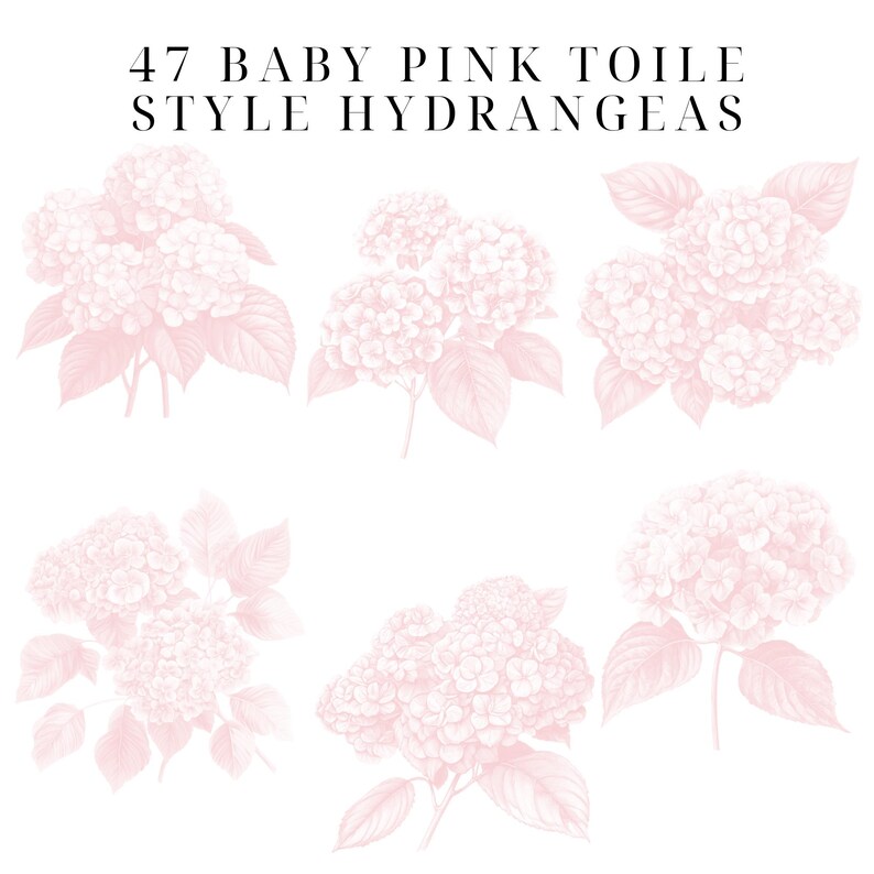 May include: 47 Baby Pink Toile Style Hydrangeas. A set of six illustrations of pink hydrangeas with leaves, drawn in a vintage style.