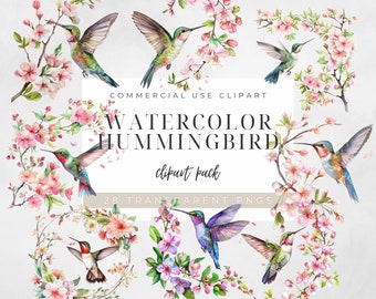 Colibrí Acuarela Clipart Colibrí Clipart - Acuarela Colibríes Clipart Colibrí Clipart Colibrí PNG Pastel Colibrí