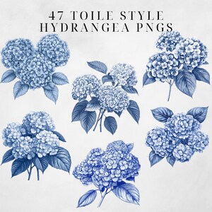 May include: A set of six blue hydrangea illustrations in a toile style. The hydrangeas are drawn in a detailed and realistic manner, with each flower having a unique shape and size. The illustrations are perfect for adding a touch of elegance and sophistication to any project.