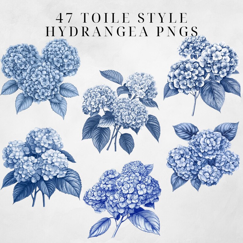 May include: A set of six blue hydrangea illustrations in a toile style. The hydrangeas are drawn in a detailed and realistic manner, with each flower having a unique shape and size. The illustrations are perfect for adding a touch of elegance and sophistication to any project.