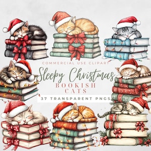 Pile de livres de Noël cliparts chat livres dos de livres shabby chic livre cliparts livre ver livre de Noël Png pile de livres amoureux des livres png