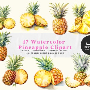 Ananas Clipart Ananas svg Ananas Png Obst Clipart Essen Clipart Sommer Clipart Ananas Druck Aquarell Clipart Küche Clipart