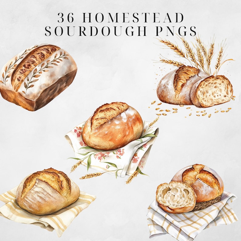 May include: A collection of watercolor illustrations of sourdough bread. The illustrations feature different shapes and sizes of bread, including loaves, rolls, and slices. Some of the illustrations include wheat stalks and other rustic elements.