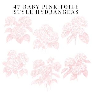 May include: A set of six illustrations of baby pink hydrangeas in a toile style. The text "47 BABY PINK TOILE STYLE HYDRANGEAS" is at the top of the image.