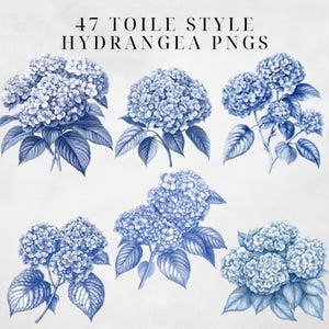 May include: Six blue and white hydrangea illustrations in a toile style. The hydrangeas are drawn with intricate detail and have a vintage aesthetic.
