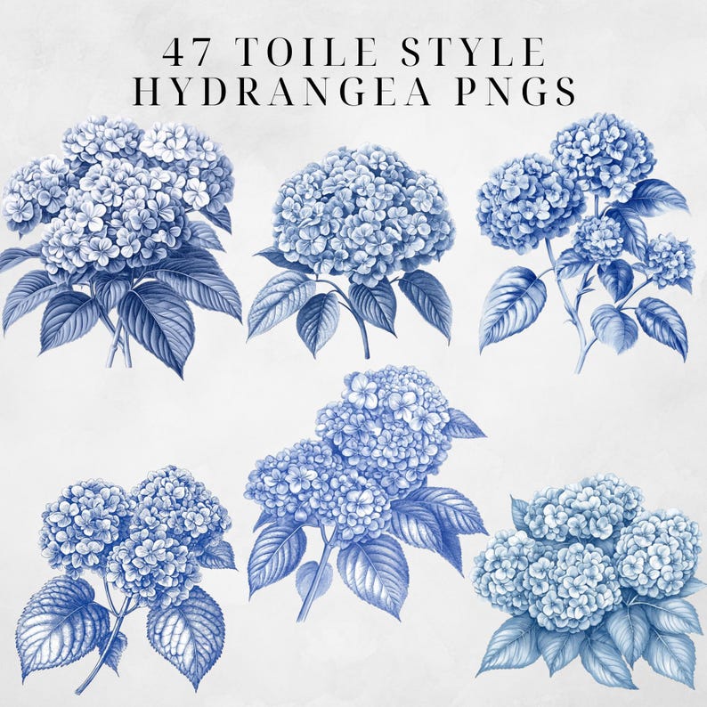 May include: Six blue and white hydrangea illustrations in a toile style. The hydrangeas are drawn with intricate detail and have a vintage aesthetic.