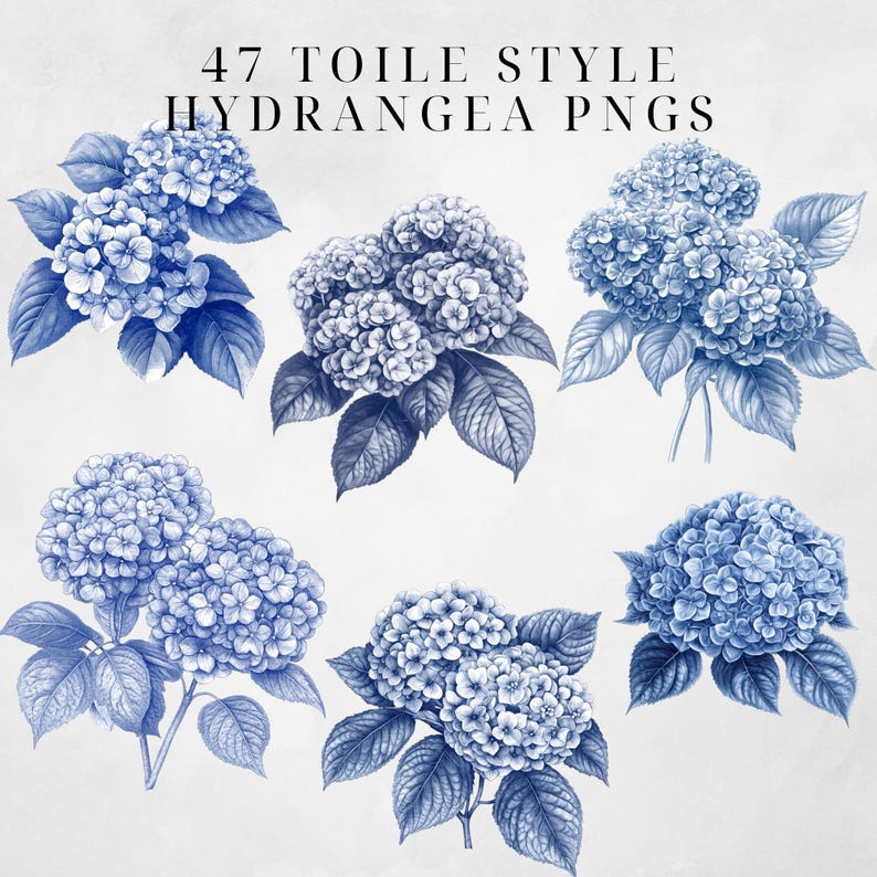 May include: Six blue hydrangea flower illustrations in a toile style. The flowers are drawn in a vintage style with detailed leaves and petals.