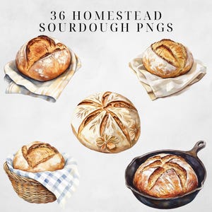 May include: A collection of 36 watercolor illustrations of sourdough bread. The bread is depicted in various shapes and sizes, including round loaves, oval loaves, and loaves with decorative cuts. The bread is shown on white backgrounds, some with a white cloth underneath.