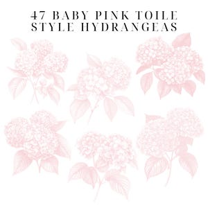 May include: Six illustrations of baby pink hydrangeas in a toile style. The hydrangeas are drawn with delicate lines and have a vintage aesthetic.
