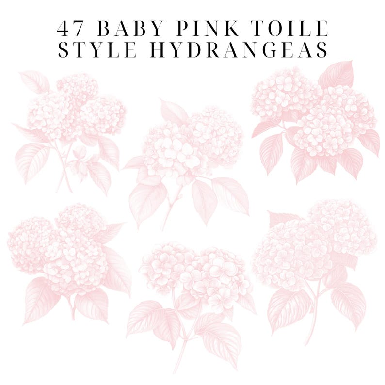 May include: Six illustrations of baby pink hydrangeas in a toile style. The hydrangeas are drawn with delicate lines and have a vintage aesthetic.