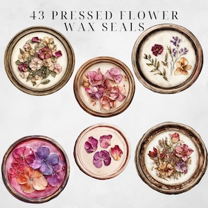 Wax Seal Clipart Pressed Flowers Clipart Wax Seal Png Wax Seal Stamp Wax Seal Clip Envelope Seal Wax Seal Digital Regency Victorian Ephemera image 7